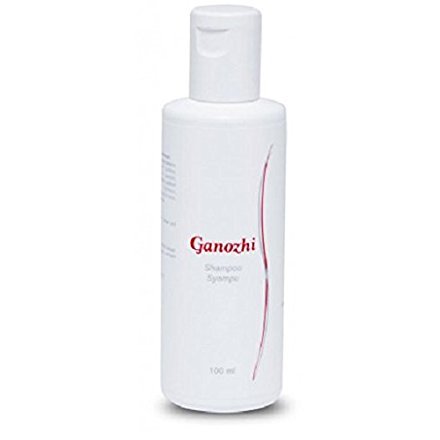 best shampoo for grey hair 2020