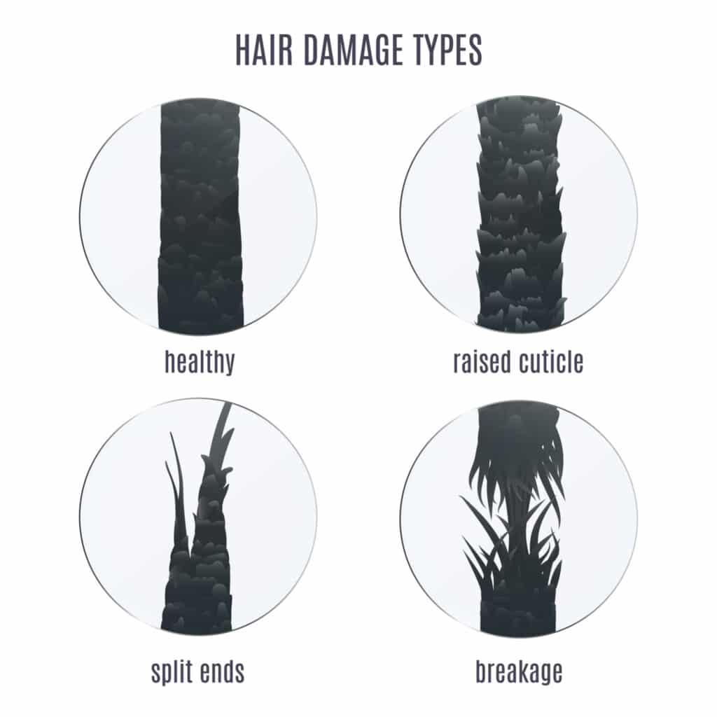 6 Types Of Hair Damage | Cause, Identification, And How To Fix Them - Hair  Everyday Review