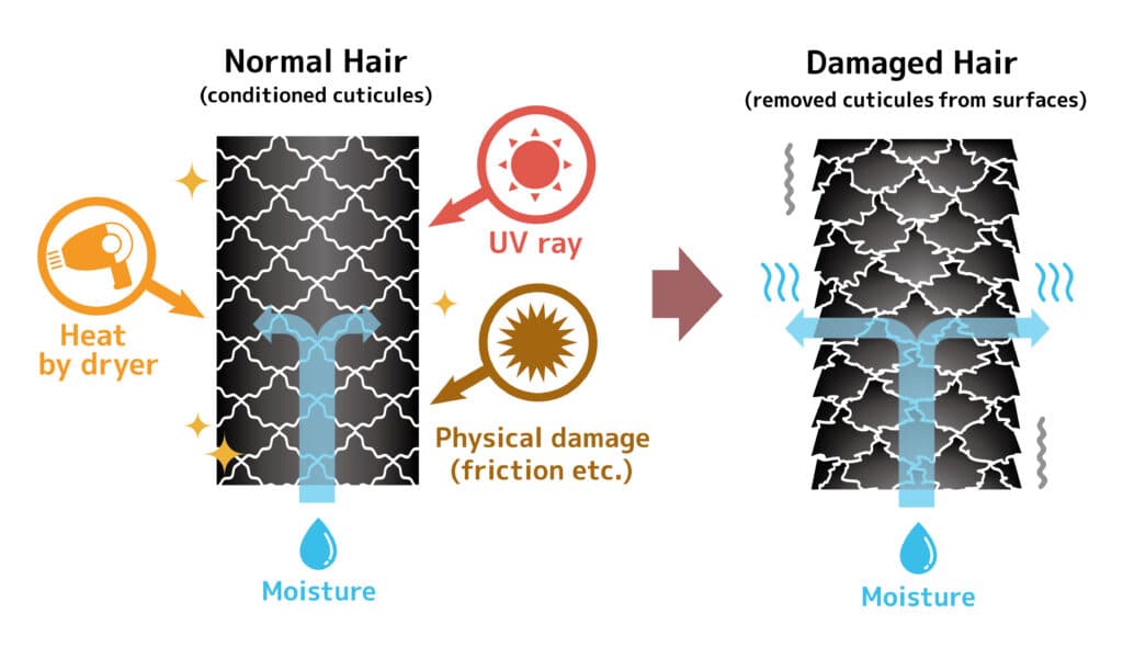 types of hair damages
