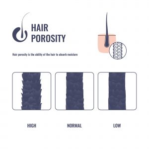 drying low porosity hair