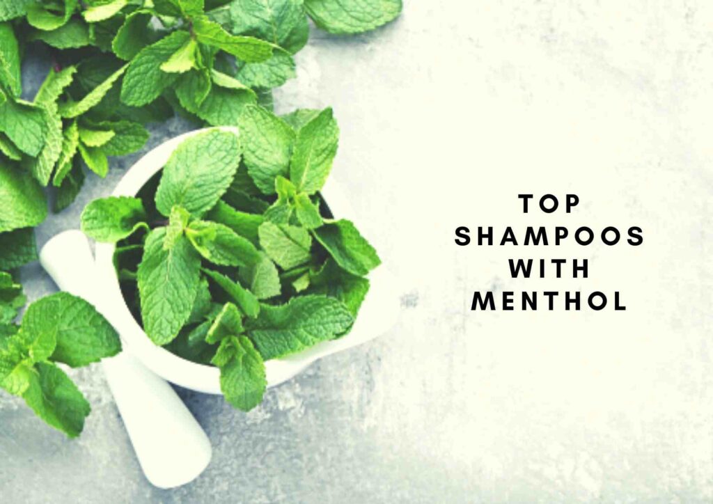 best menthol shampoo