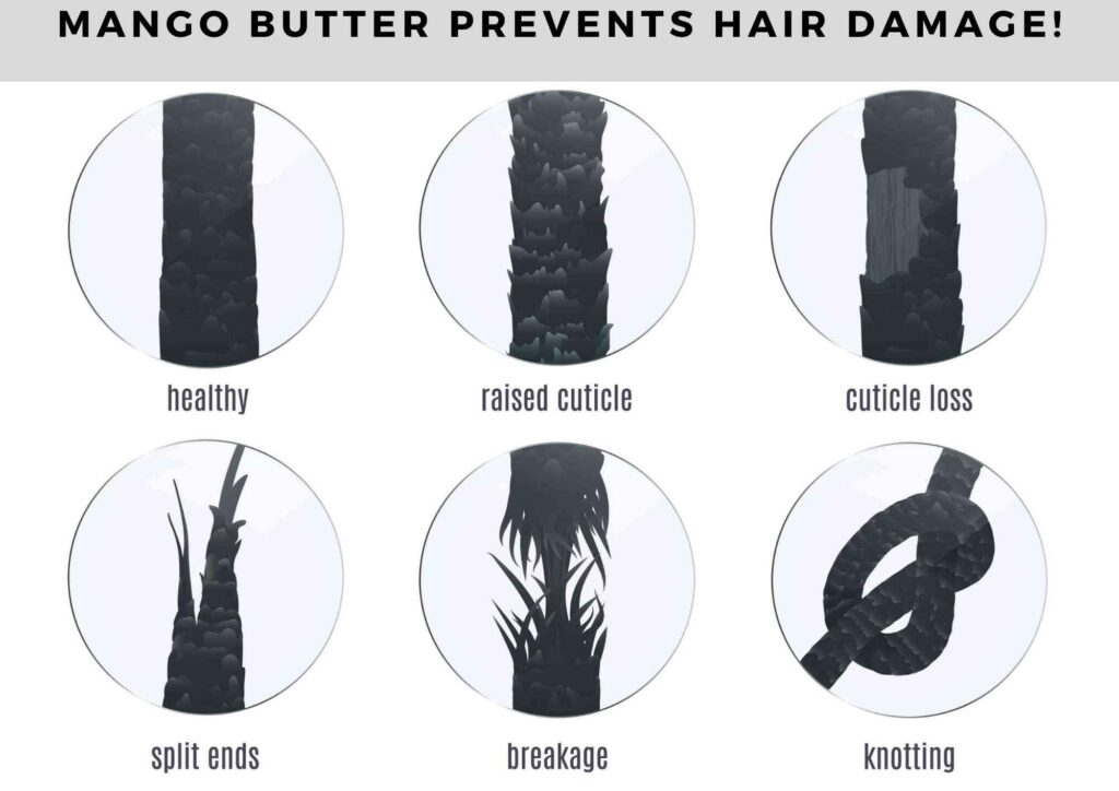 how to make mango butter for hair growth