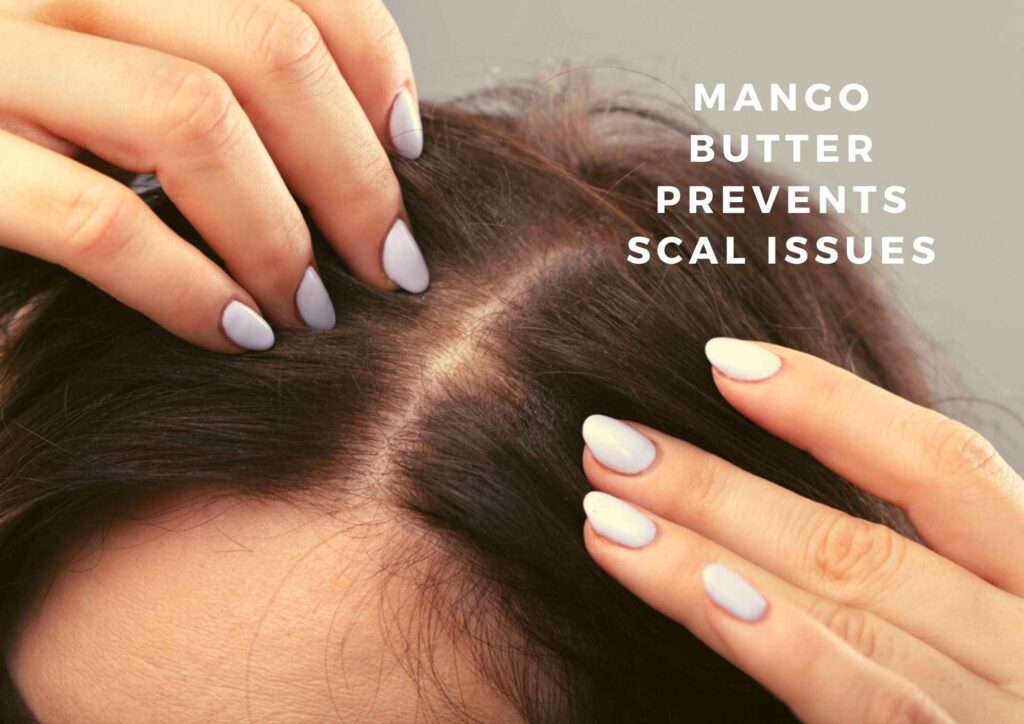 mango butter benefits for hair and skin
