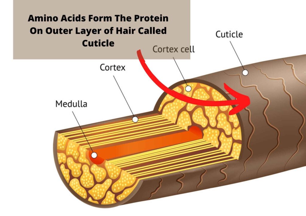 What Is Amino Acid Treatment For Natural Hair