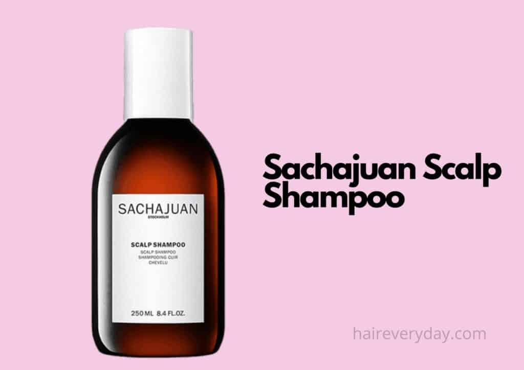 best shampoo for hard water and oily hair