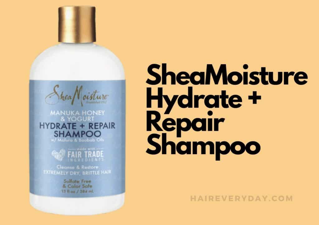 best shampoo for a dry itchy scalp