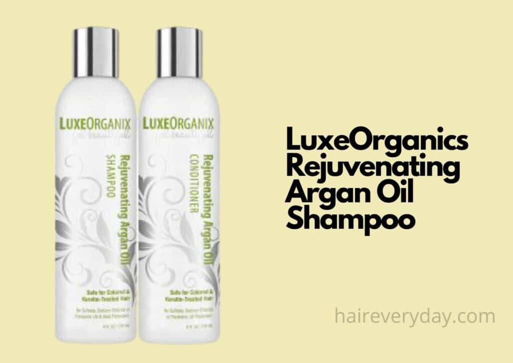frizzy hair shampoo sulfate free