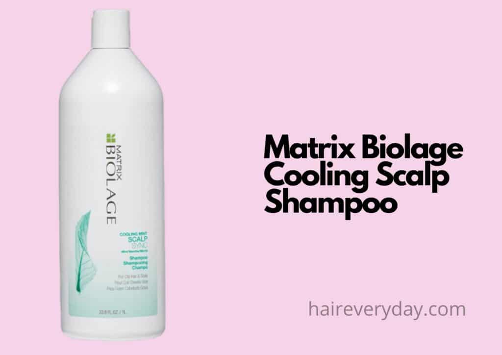 best shampoo for oily thin hair