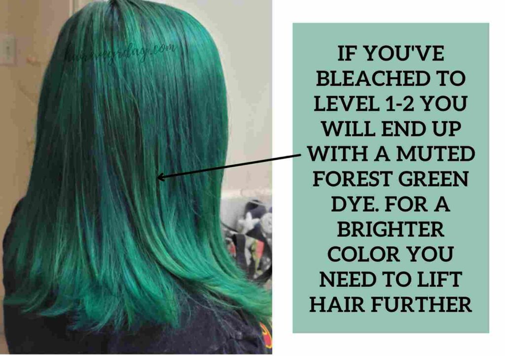 how to dye black hair green without bleaching