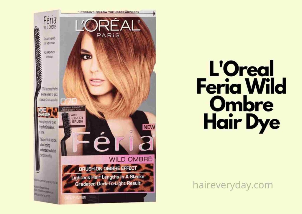 4 Best Ombre Hair Dye 2023 | Amazing Ombre Hair Color Ideas and Hairstyles  - Hair Everyday Review
