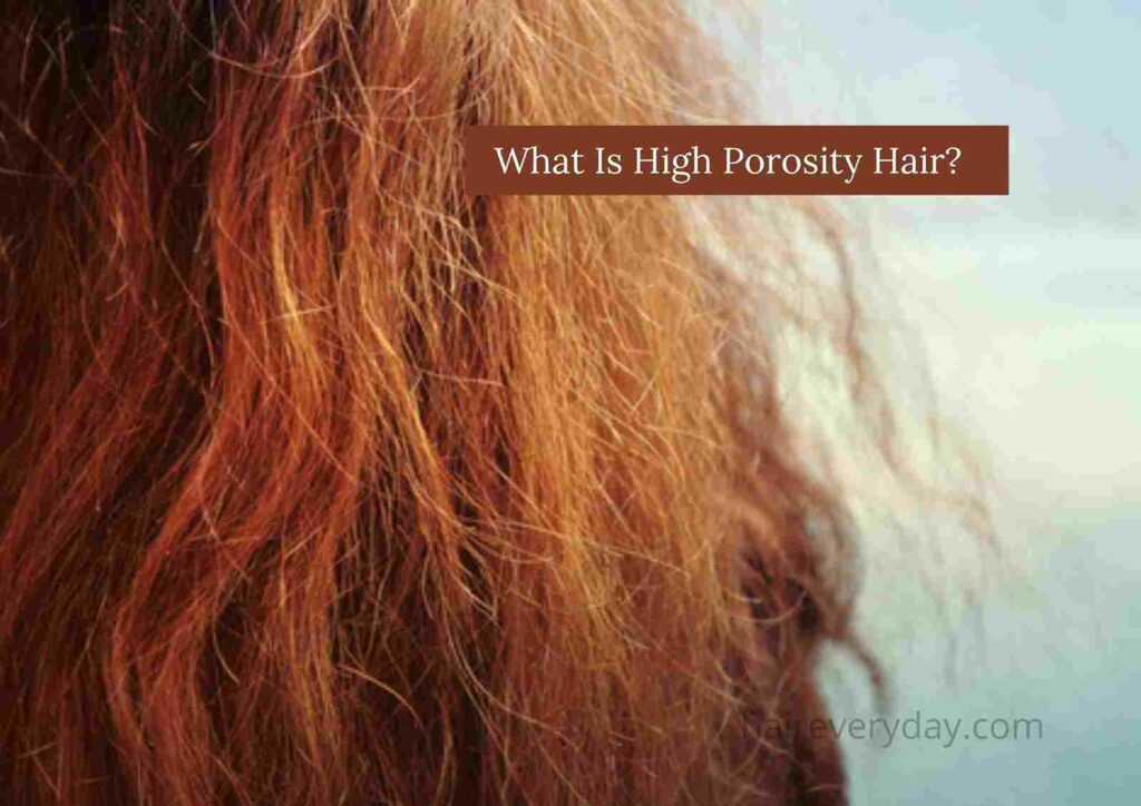 what is high porosity hair