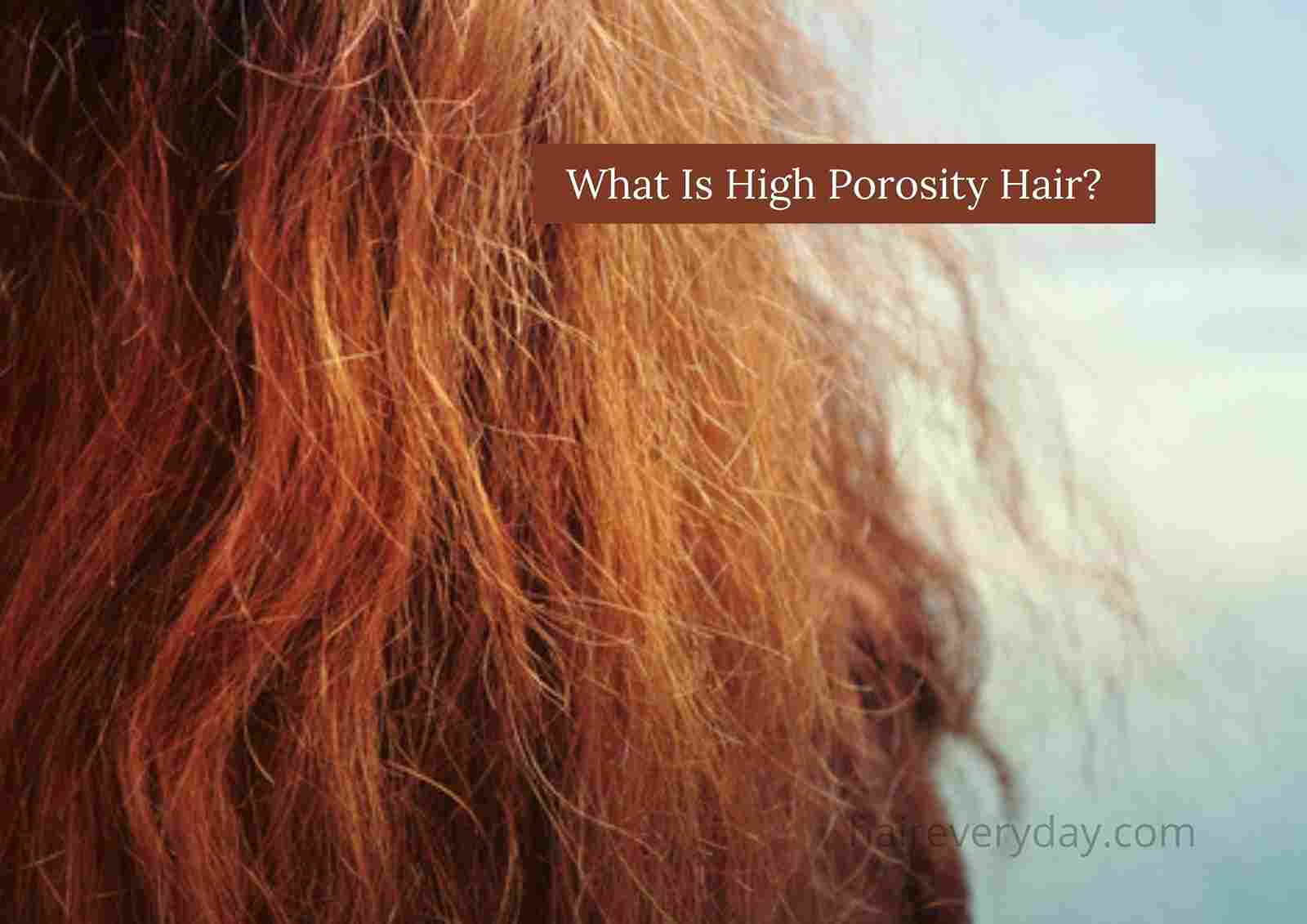 Hair Porosity 101: The Ultimate Guide - The Mestiza Muse