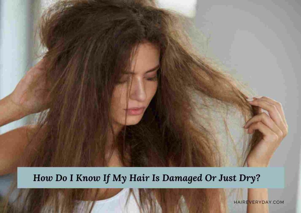 How To Tell If Your Hair Is Dry Or Damaged