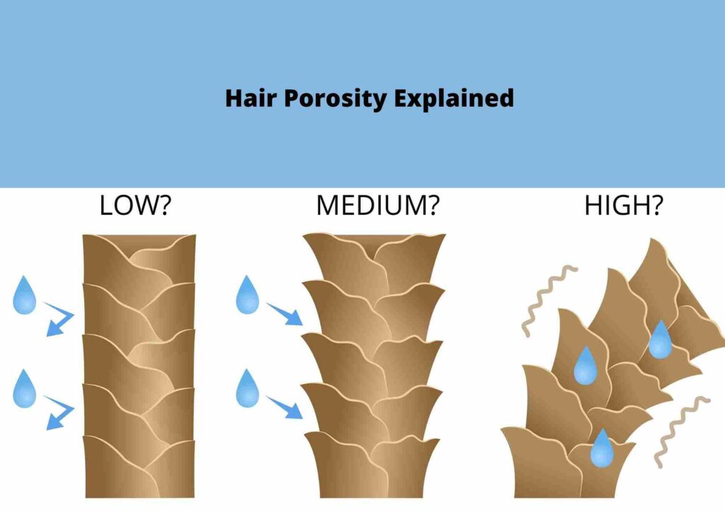 What is hair porositY