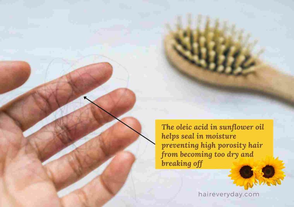 benefits of sunflower oil for hair and skin