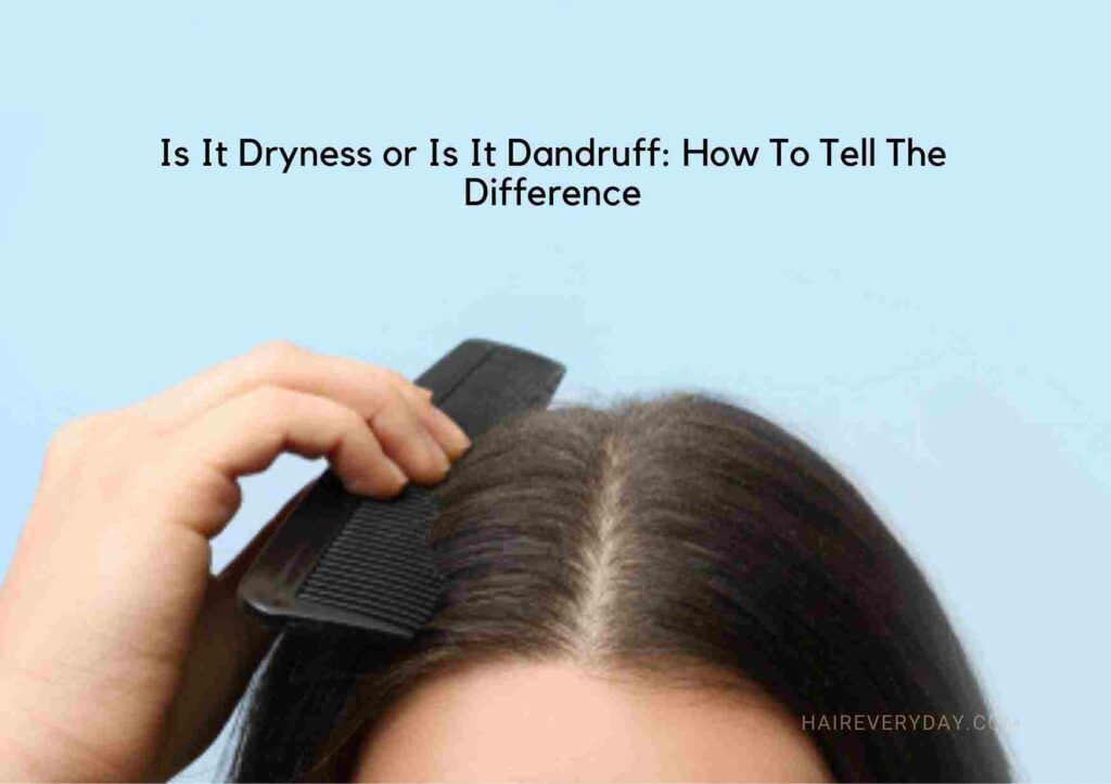 dandruff vs. dry scalp