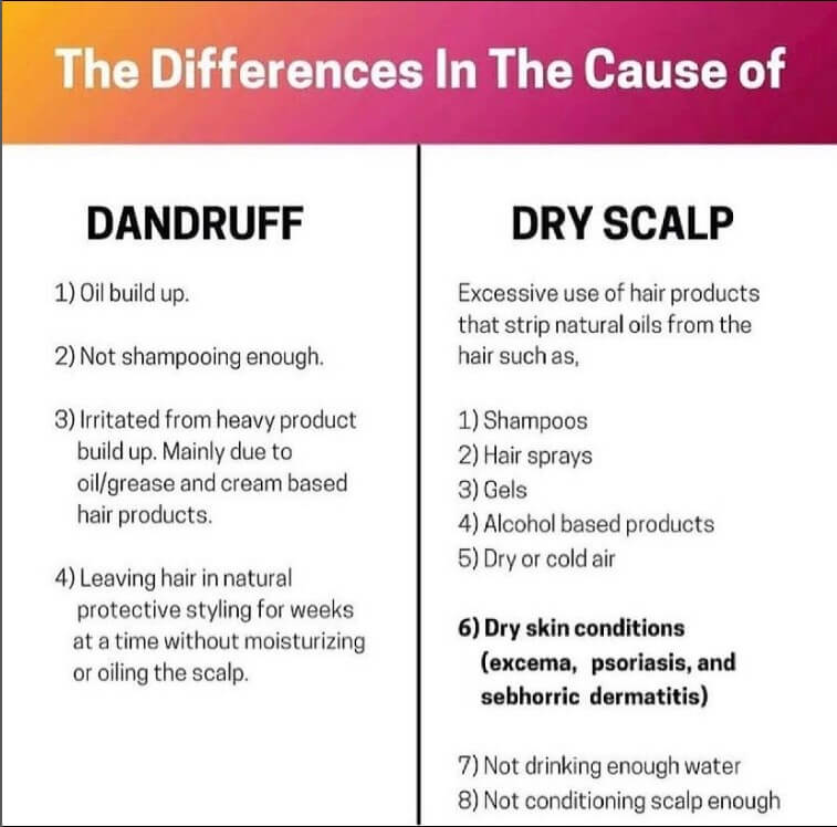 dandruff vs dry scalp