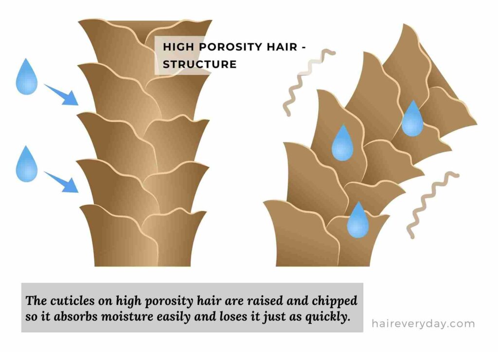 high porosity hair characteristics