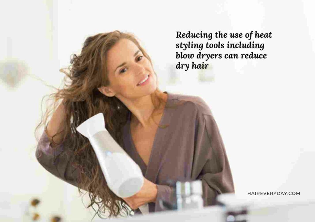 how to fix dry hair