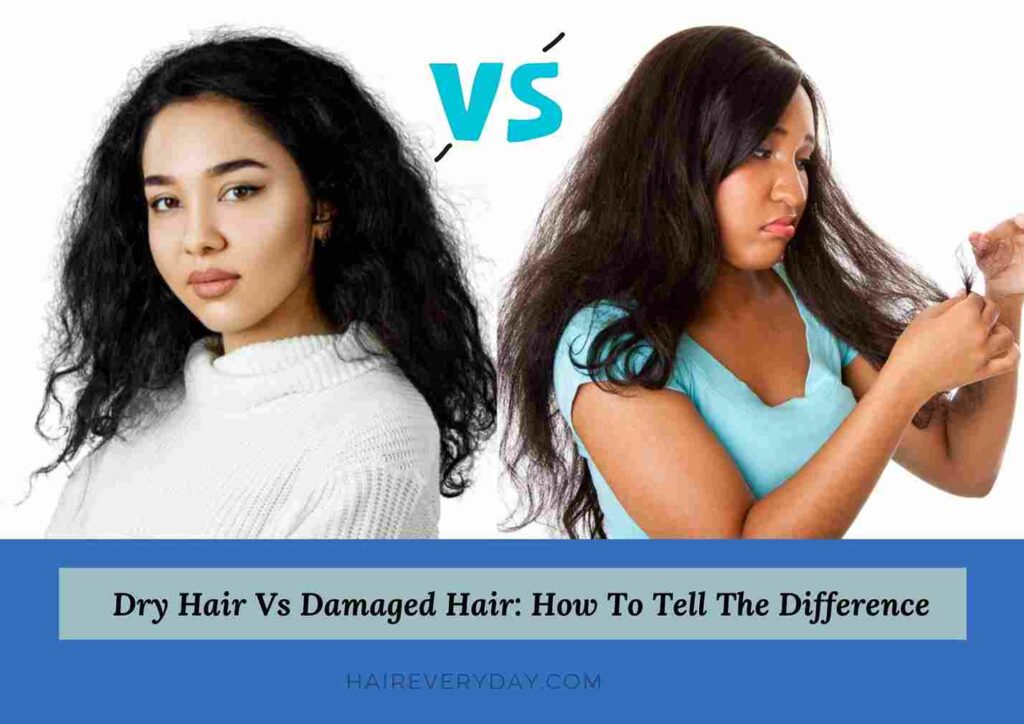 how to tell if your hair is dry or damaged
