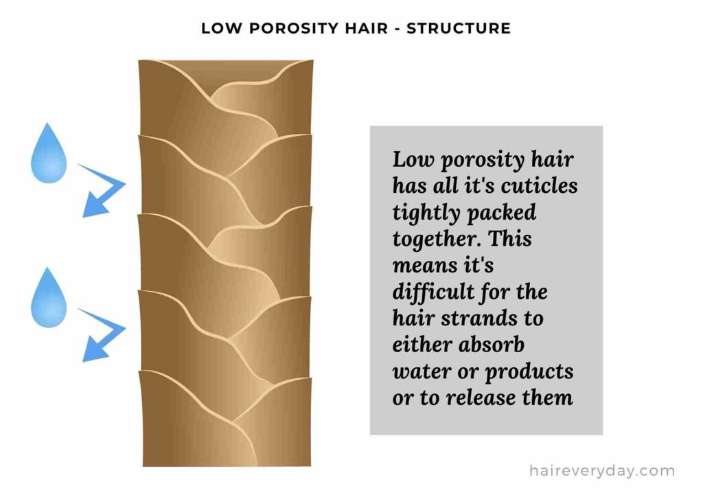low porosity hair characteristics
