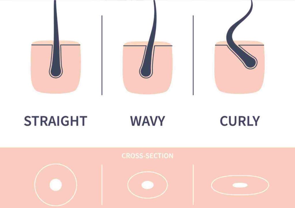 how to check your hair type