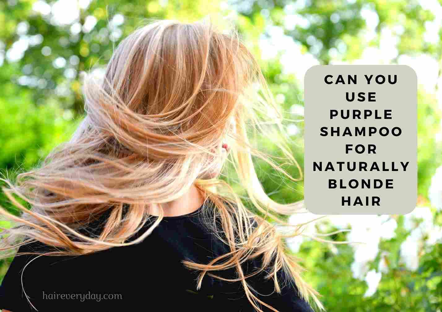 You Use Purple For Blonde Hair - Hair Everyday Review