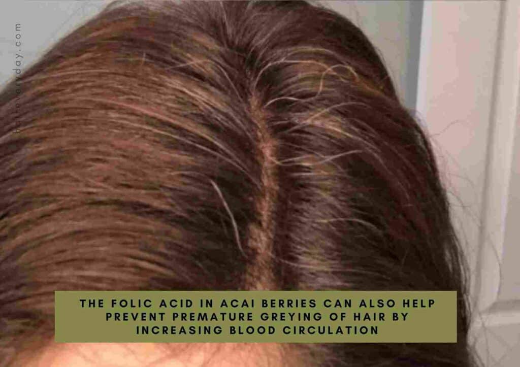 acai oil benefits for hair