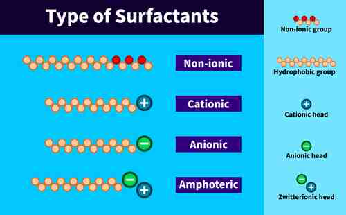 cationic and anionic surfactants in shampoo