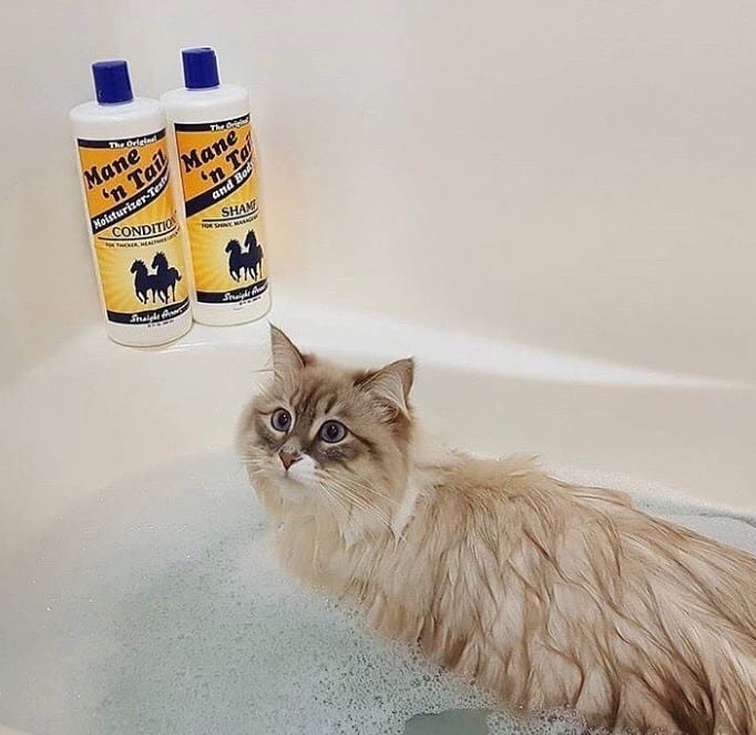 mane n tail shampoo benefits