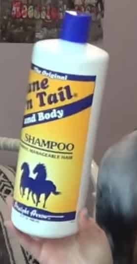 mane n tail shampoo for dogs