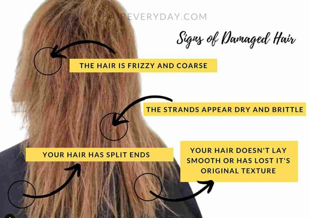 
what does damaged hair look like