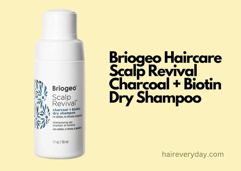 
best powder dry shampoo for oily hair