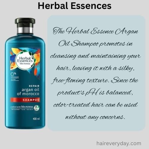 Herbal Essences Vs Aussie