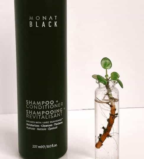 Monat Shampoo Review