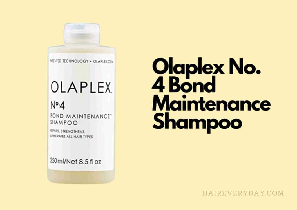 
best shampoo for shine and volume