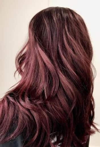 plum brown hair colour