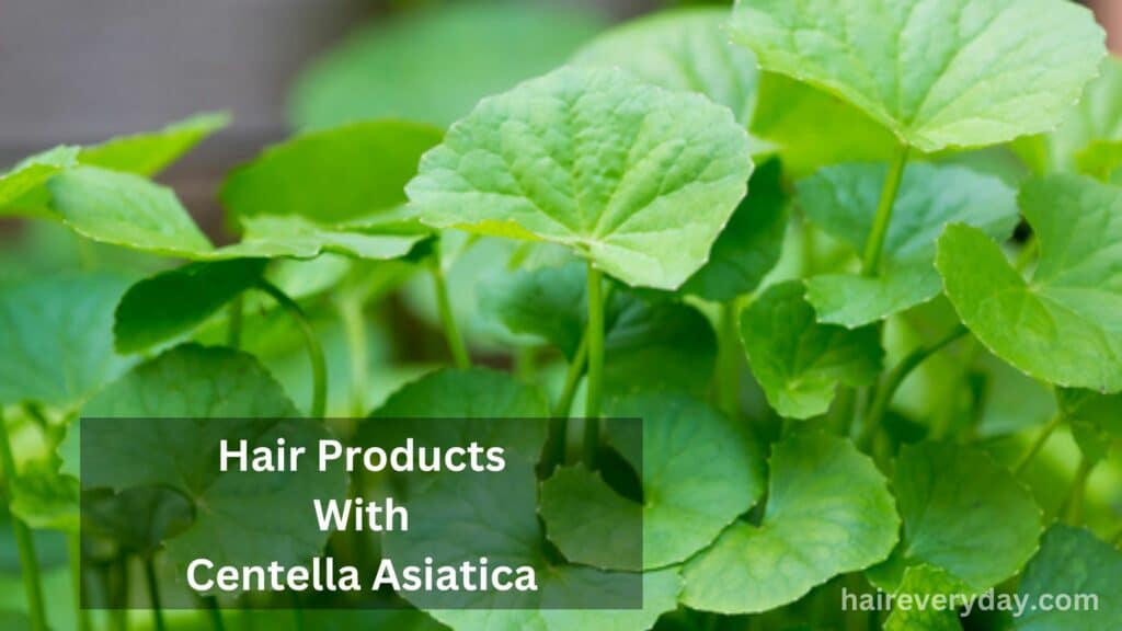 Hair Products With Centella Asiatica