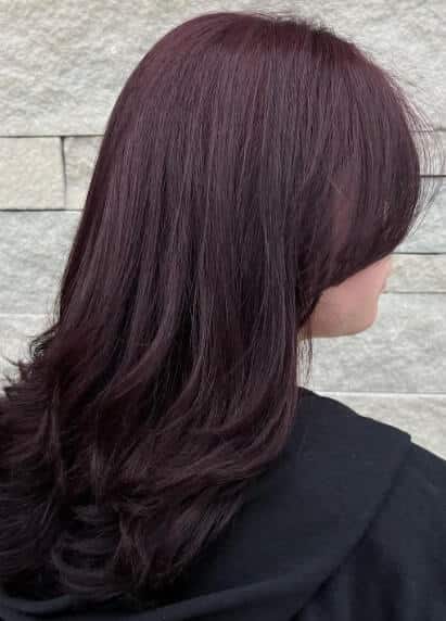 plum black hair color