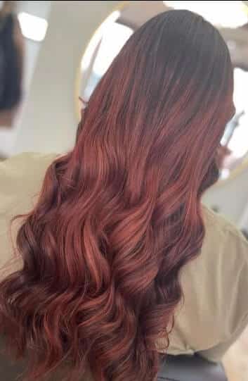 chocolate plum hair color