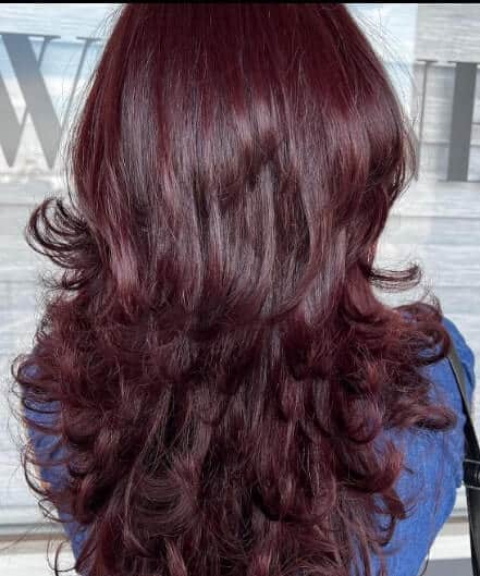 plum hair color highlights