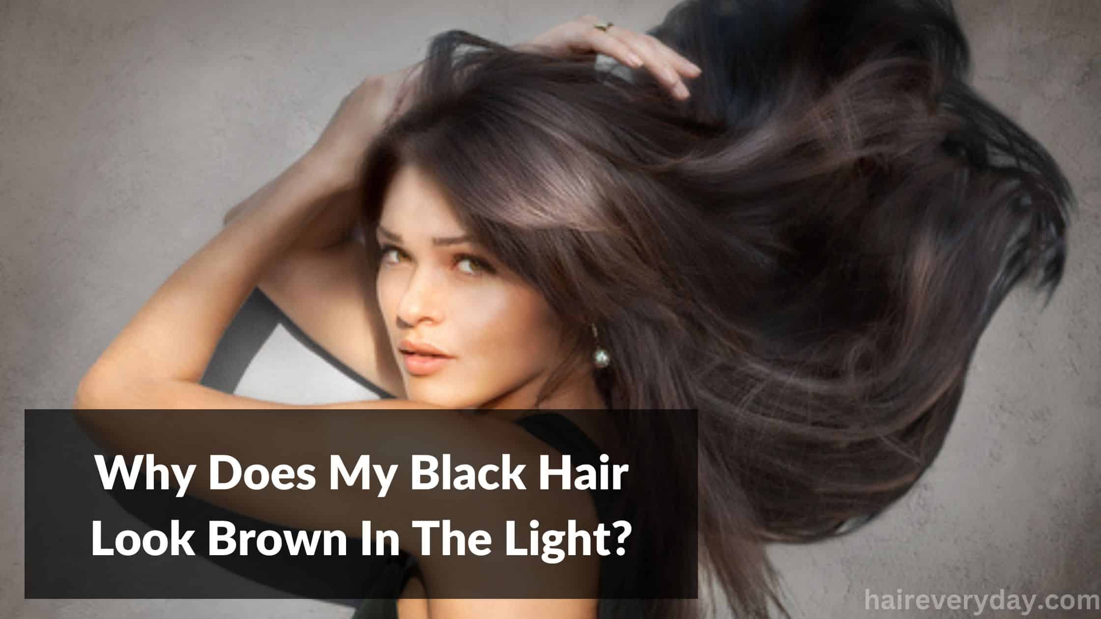 Why Does My Black Hair Look Brown In The Light 2023? - Hair Everyday Review