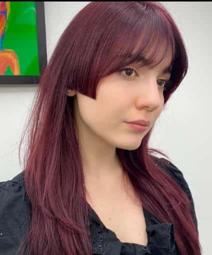 dark red and purple hair