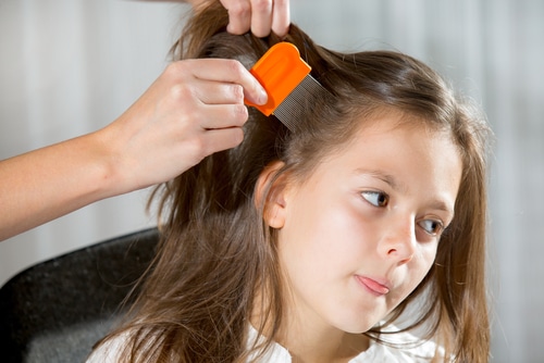 does washing your hair everyday kill lice
