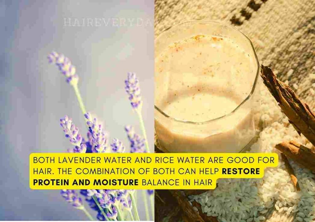 Rice Water And Lavender Oil For Hair