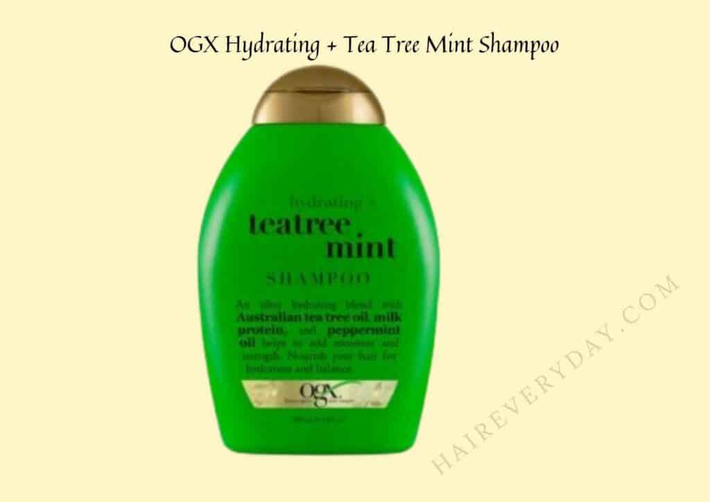 best mint shampoo for hair growth