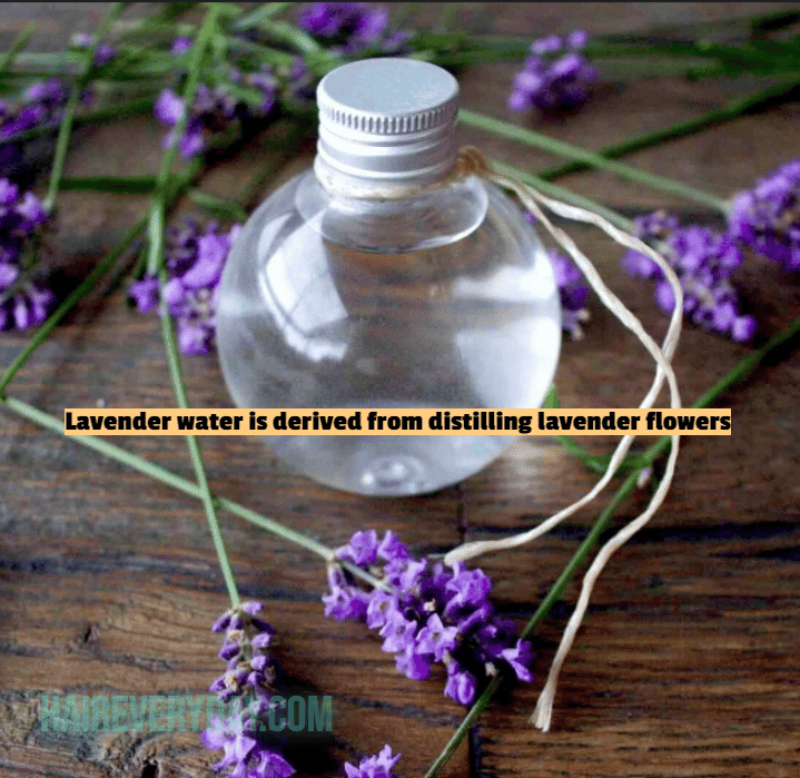 lavender water recipe