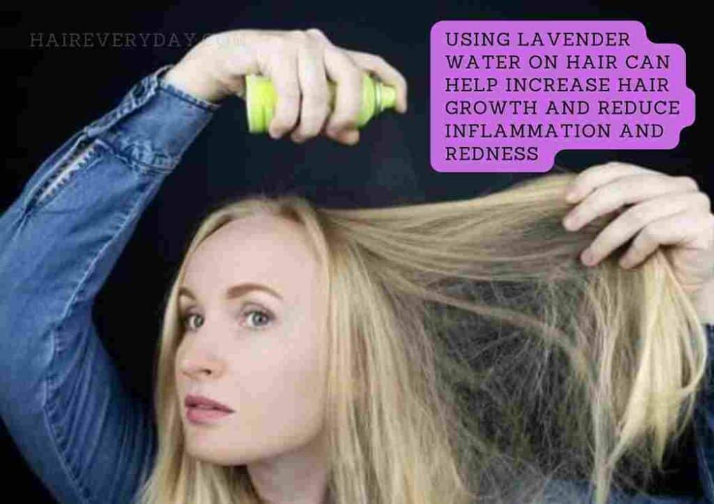 lavender water benefits for hair