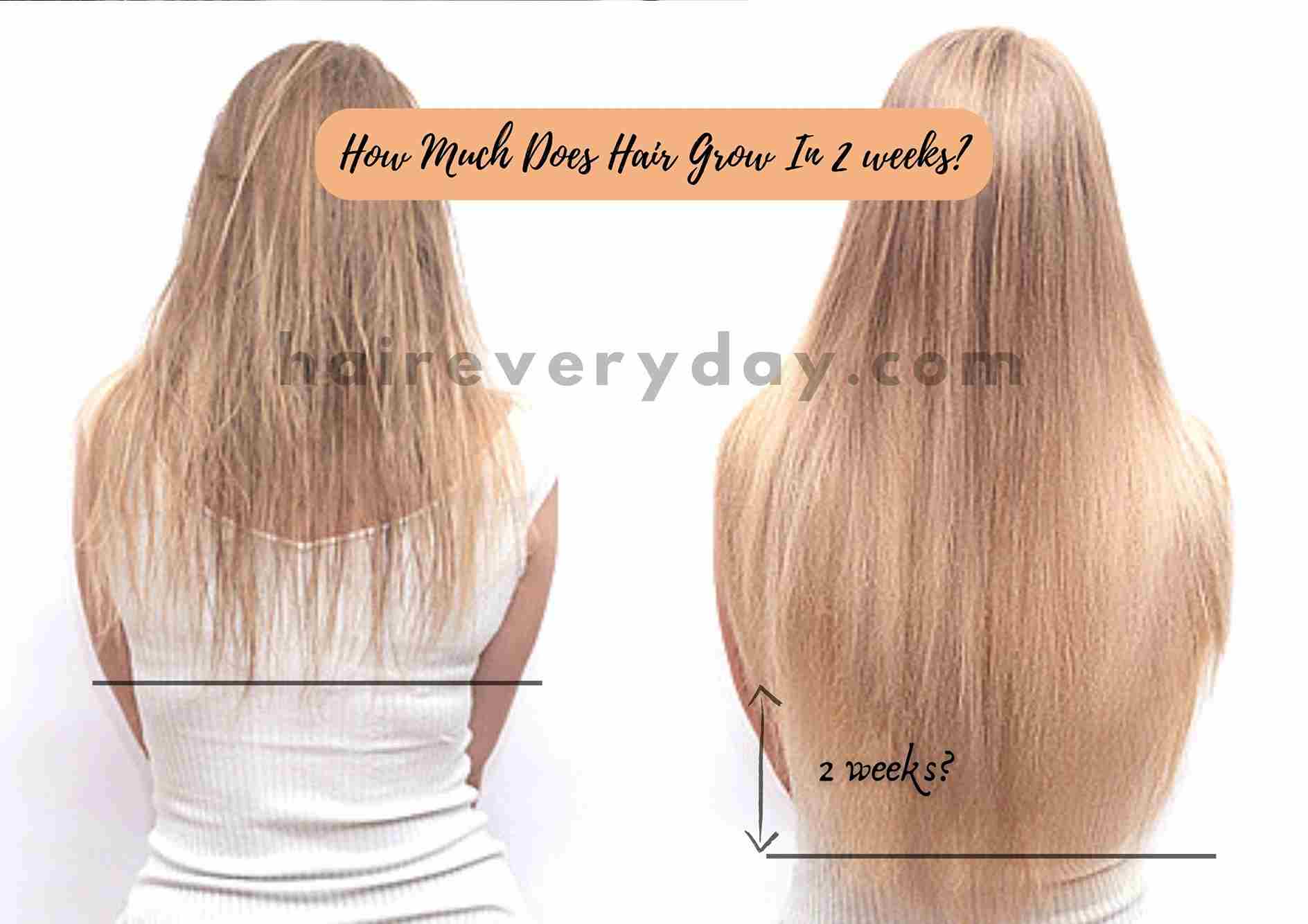 How Much Does Hair Grow In 2 Weeks | Length Comparison And Best Tips To Grow  Hair Faster! - Hair Everyday Review