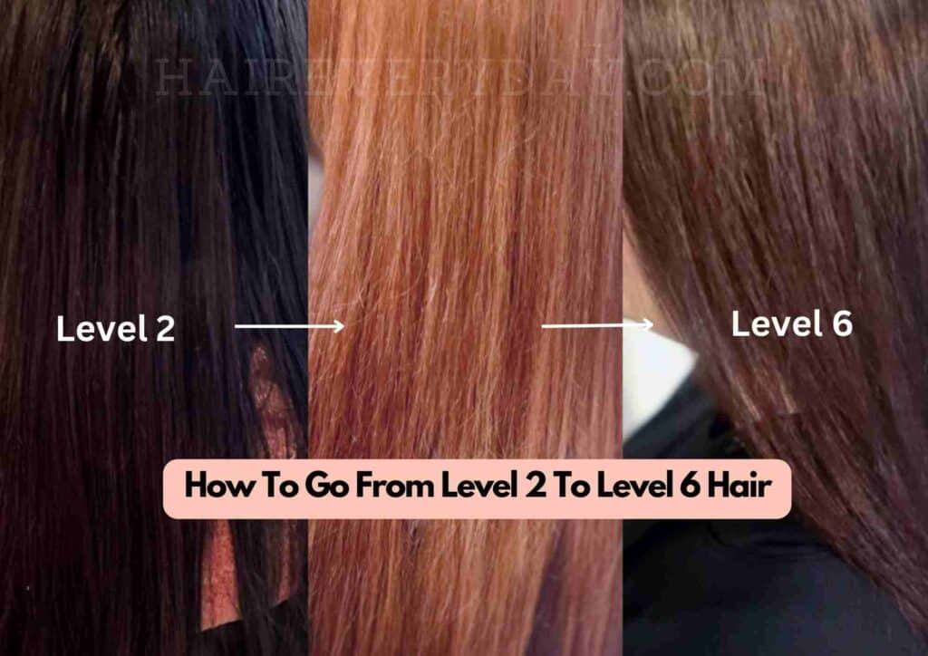 How To Go From Level 2 To Level 6 Hair